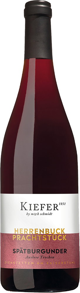 2020 Spätburgunder Rotwein Auslese Prachtstück