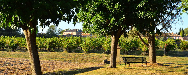 Château la Mondette