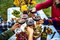cheers red wine 2