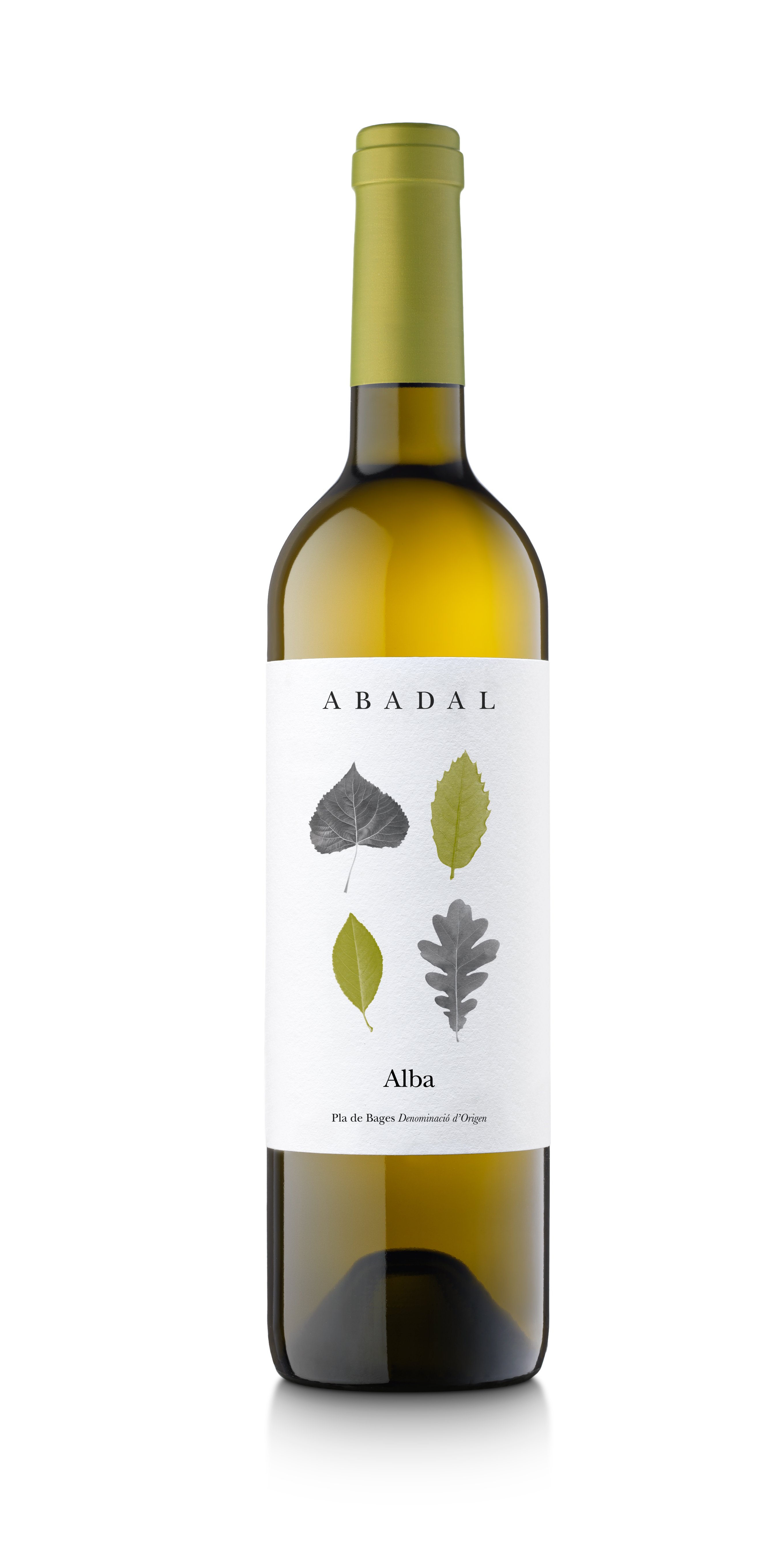 2024 Alba Pla de Bages DO reflection
