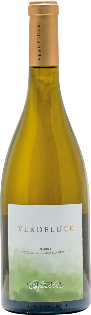 2024 Verdeluce Bianco