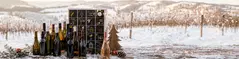 _wein-adventskalender