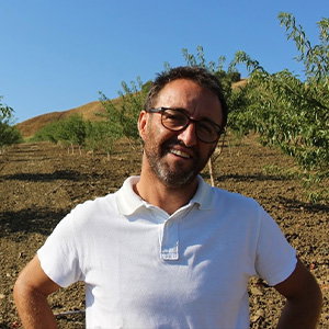 Stellino Tommaso