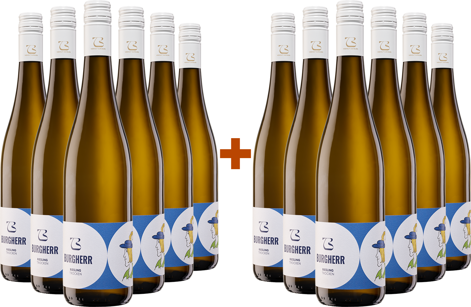 6+6 paket Burgherr Riesling