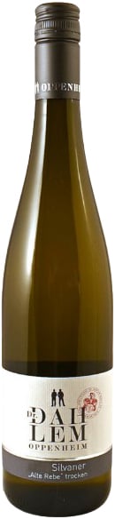 2025 Dienheimer Tafelstein Silvaner Alte Rebe