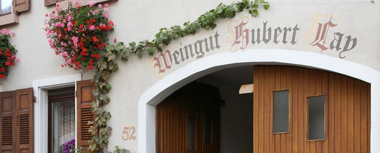 BIO Weingut Lay