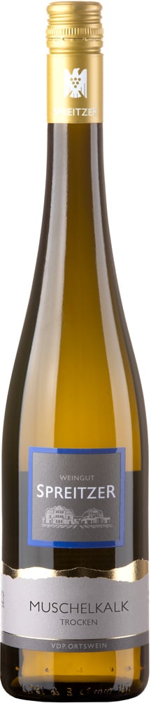 2025 Riesling Oestrich "Muschelkalk" reflection