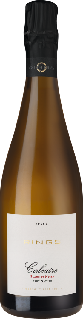 2020 Calcaire Blanc et Noirs Sekt BIO