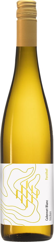 2025 Cabernet Blanc BIO