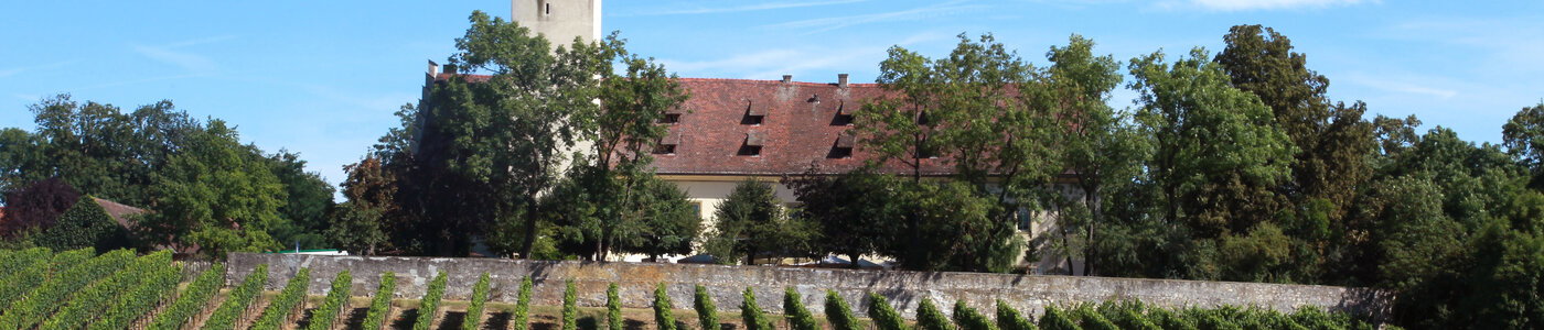 Graf von Schönborn Schloss Hallburg