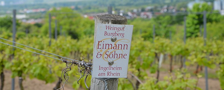 Burgberg Eimann & Söhne