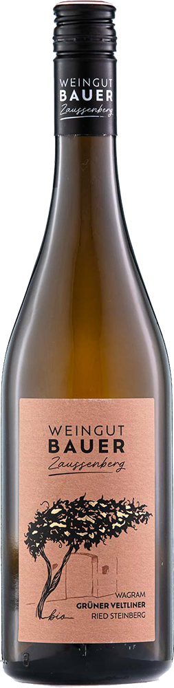 2023 Grüner Veltliner "Ried Steinberg" BIO