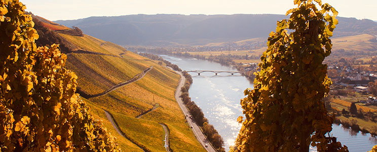 Hansjosten