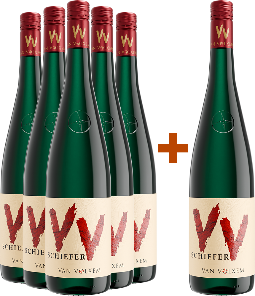 5+1 Paket VV Schiefer