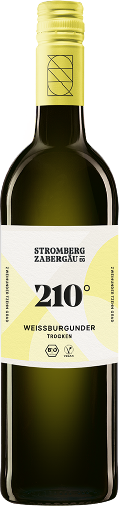 2024 210° Erkundung Weißburgunder BIO