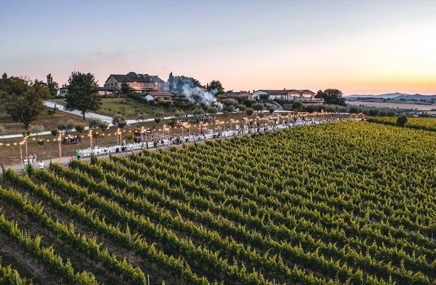 Tenuta dei Mori