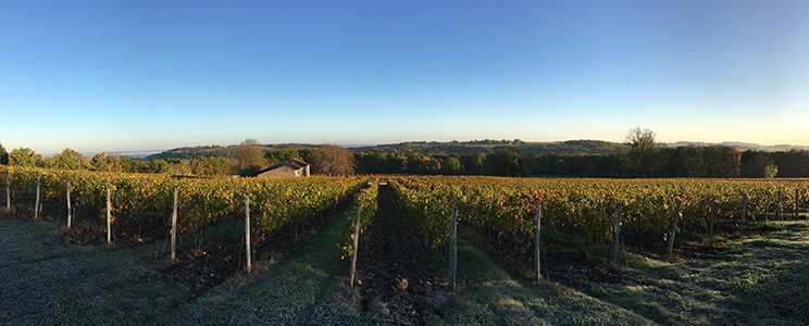 Vignobles Fabien Castaing