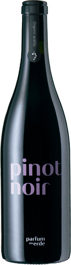 2019 Pinot Noir BIO