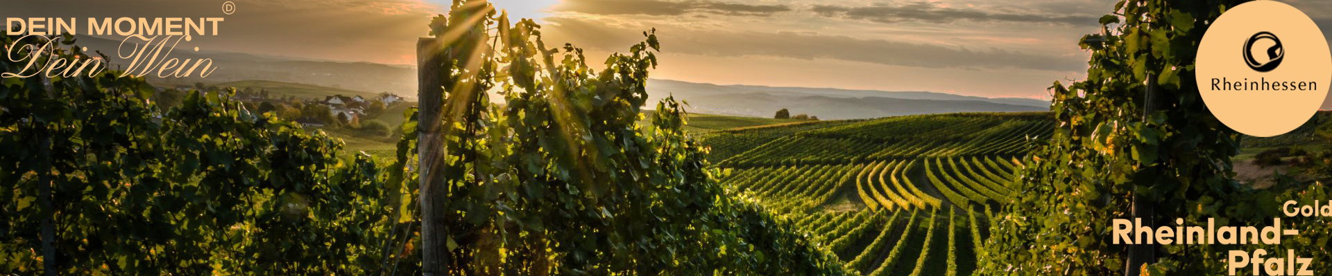 Weinberge in Rheinhessen