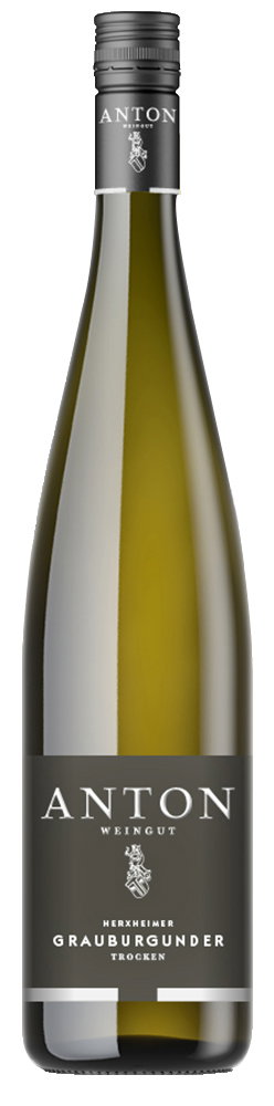 2024 Herxheimer Grauburgunder
