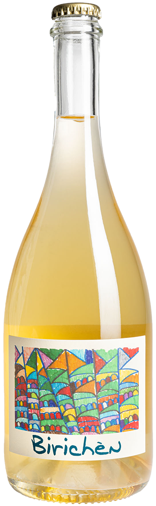 2022 Birichén Rosé Emilia IGP reflection