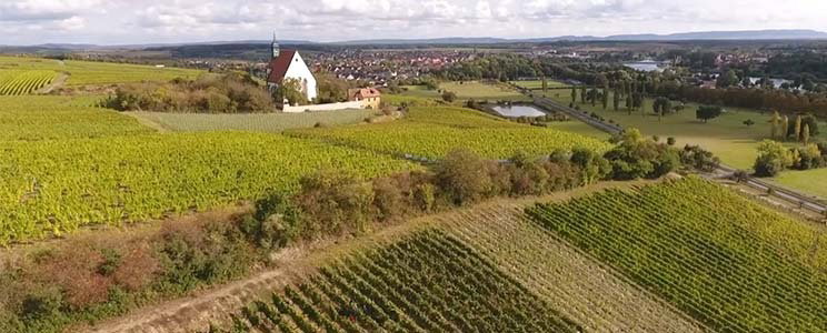 Familienweingut Braun