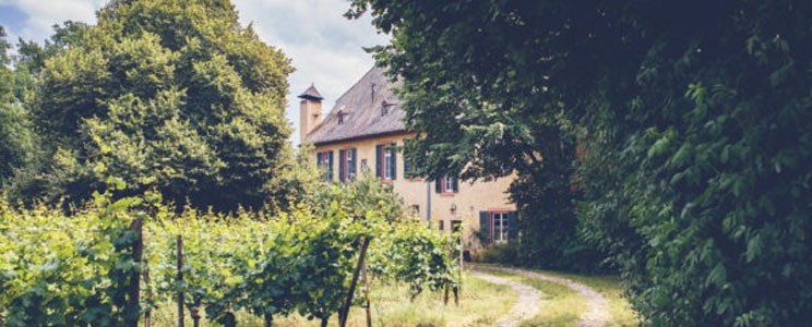 Baron Knyphausen