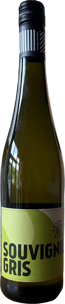 2024 Souvignier gris