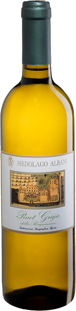 2025 Pinot Grigio della Bergamasca IGP