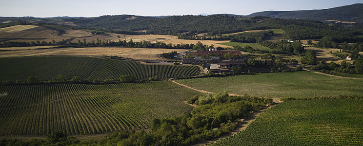 Casa Vinicola Luigi Cecchi e Figli