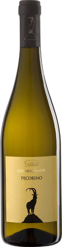 2024 Corno Grande Pecorino Terre d'Abruzzo IGP