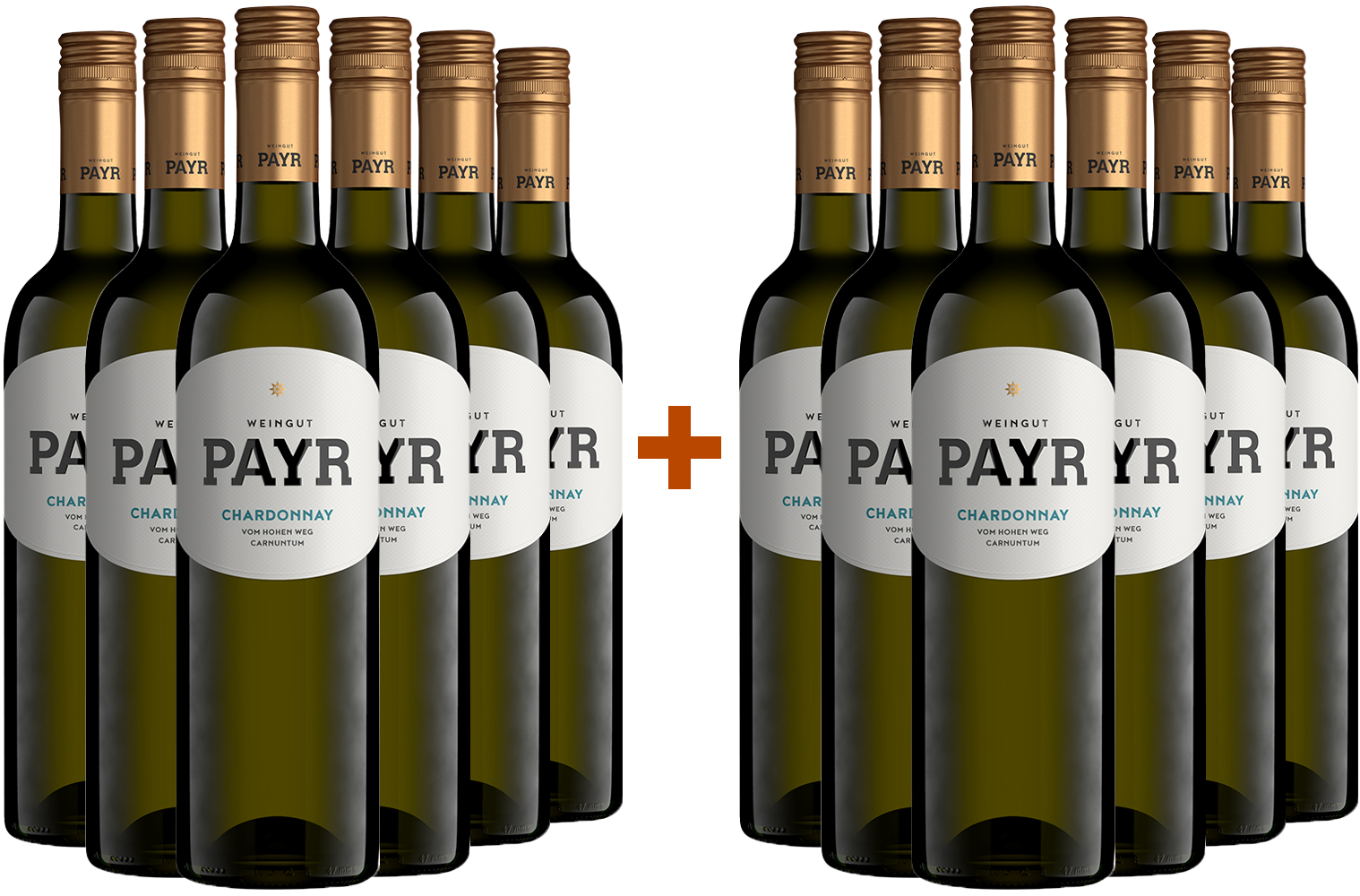 6+6 Paket Chardonnay vom Lehm Bio BIO
