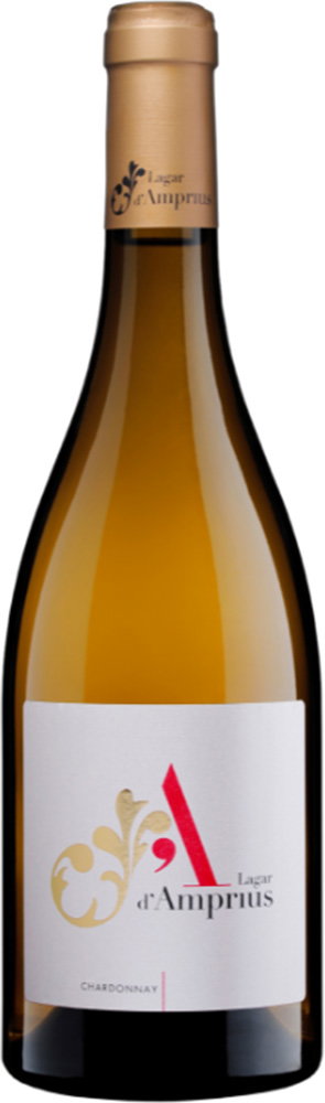 2021 Chardonnay Bajo Aragón VT BIO reflection