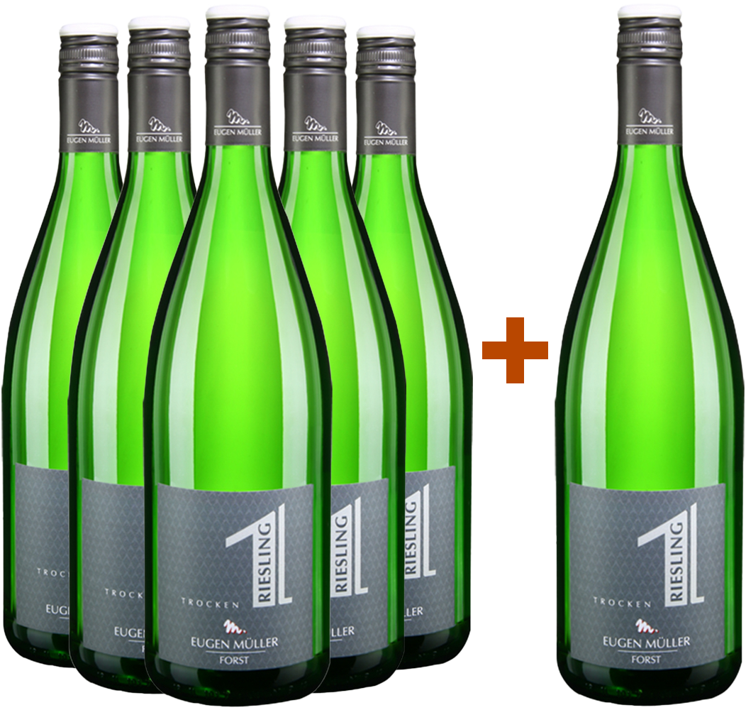5+1 Paket Riesling trocken 1,0L