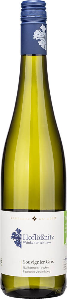 2024 Souvignier Gris - Radebeuler Johannisberg BIO