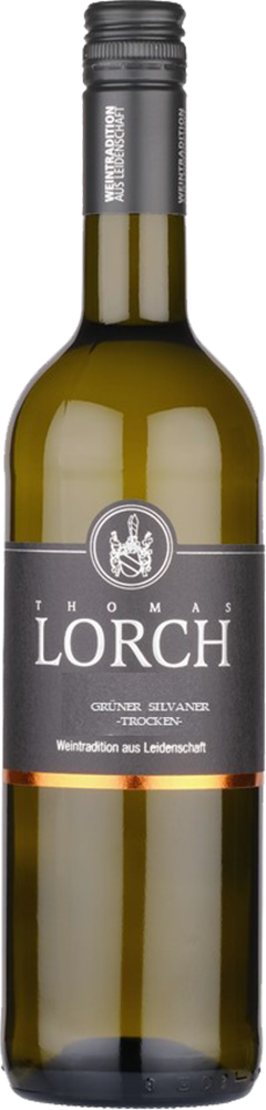 2024 Grüner Silvaner -trocken-