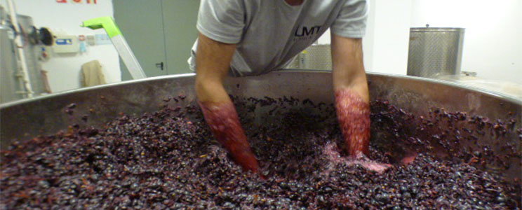 LMT Wines