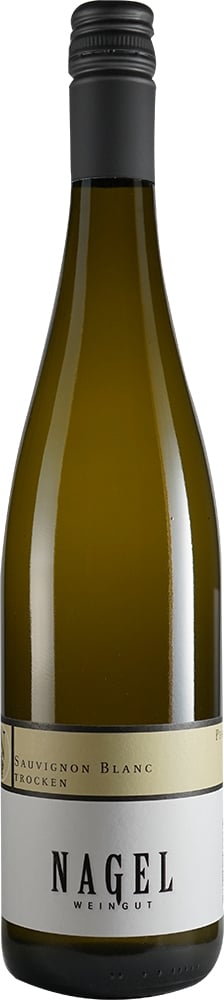 2023 Sauvignon Blanc