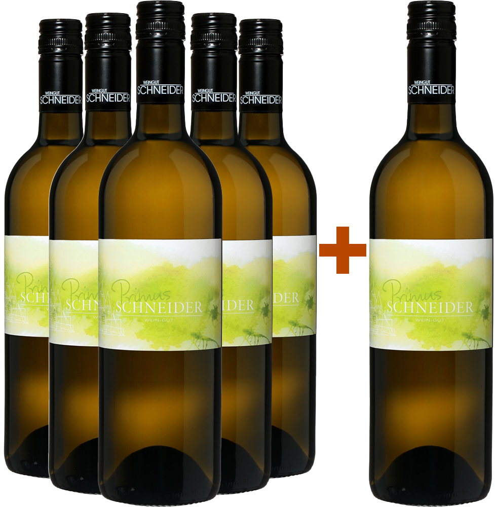5+1 Gemischter Satz Jungwein PRIMUS
