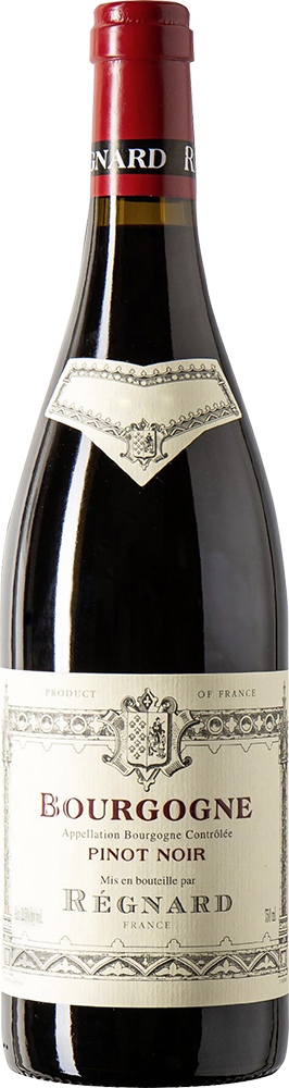 2024 Pinot Noir Bourgogne AOP