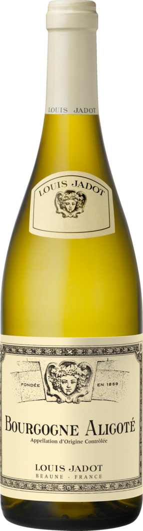 2025 Louis Jadot Aligoté reflection