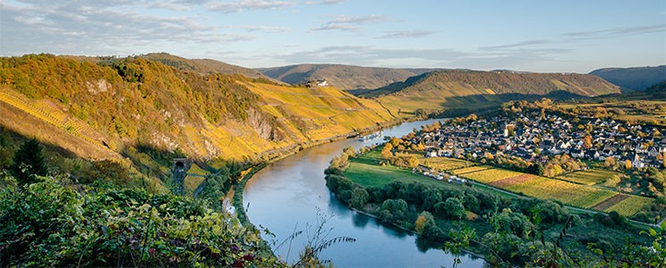Simonis