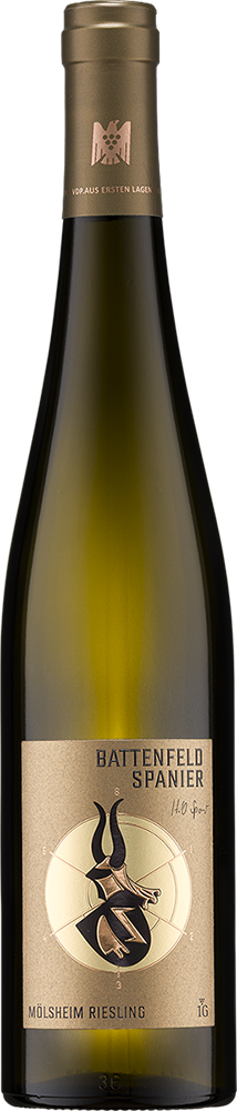 2025 MÖLSHEIM Riesling 1G - Aus Ersten Lagen BIO