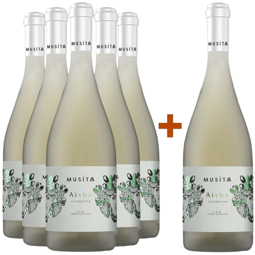5+1 Paket Aysha Catarratto Terre Siciliane IGP