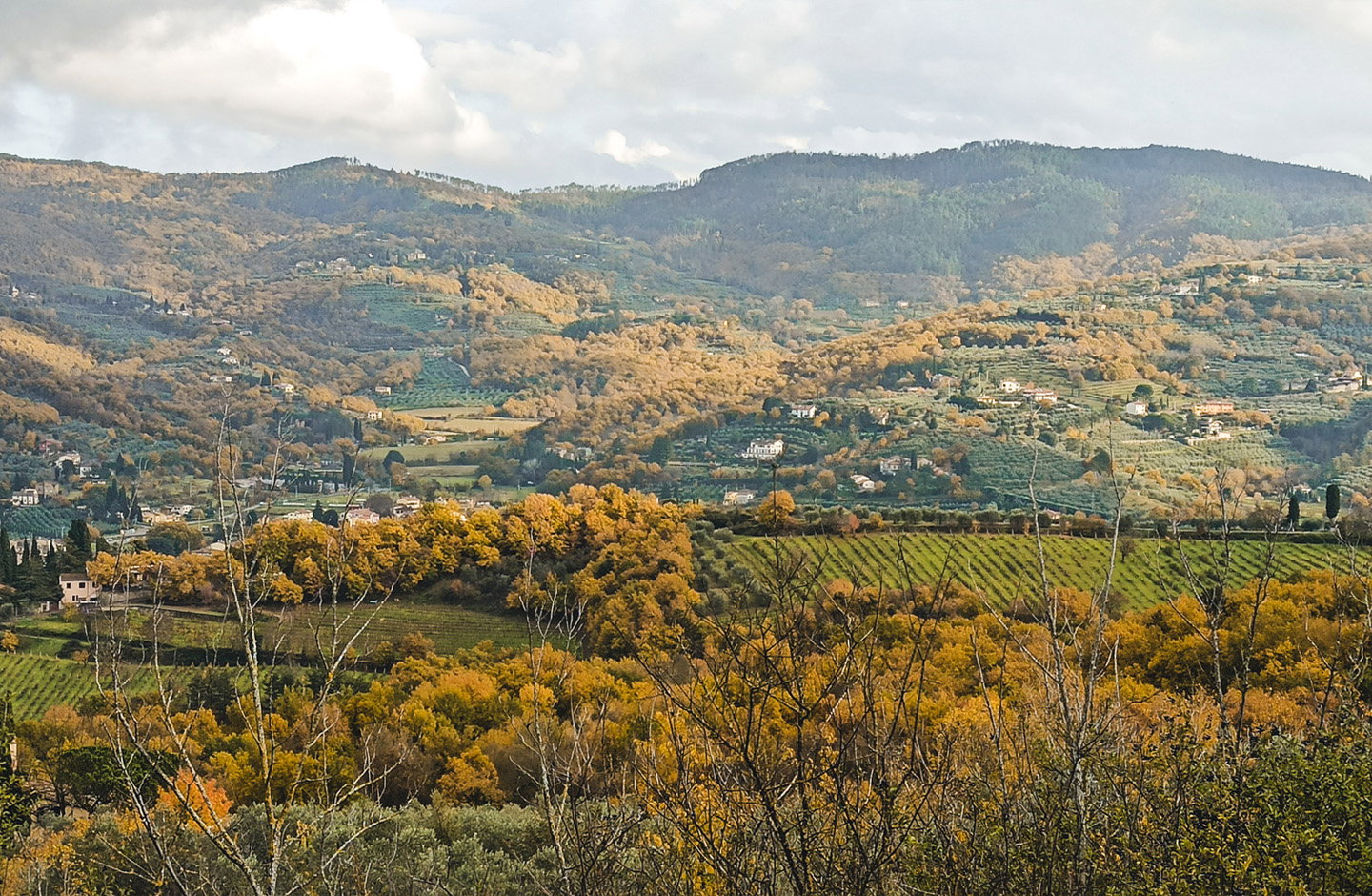 Matrignano