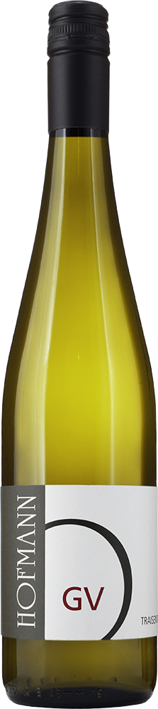 2024 Grüner Veltliner Oberndorf BIO