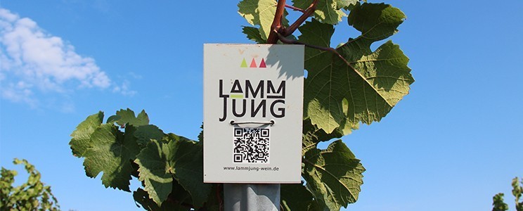 Lamm-Jung KG