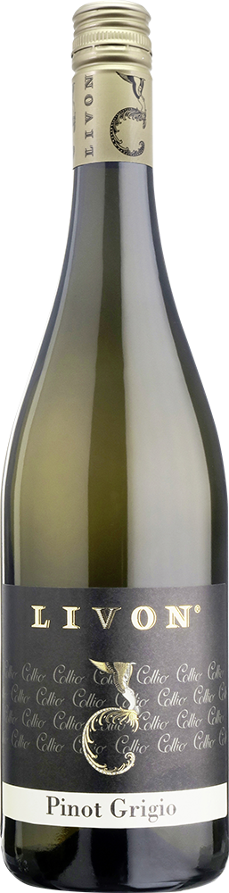 2024 Pinot Grigio Collio DOC