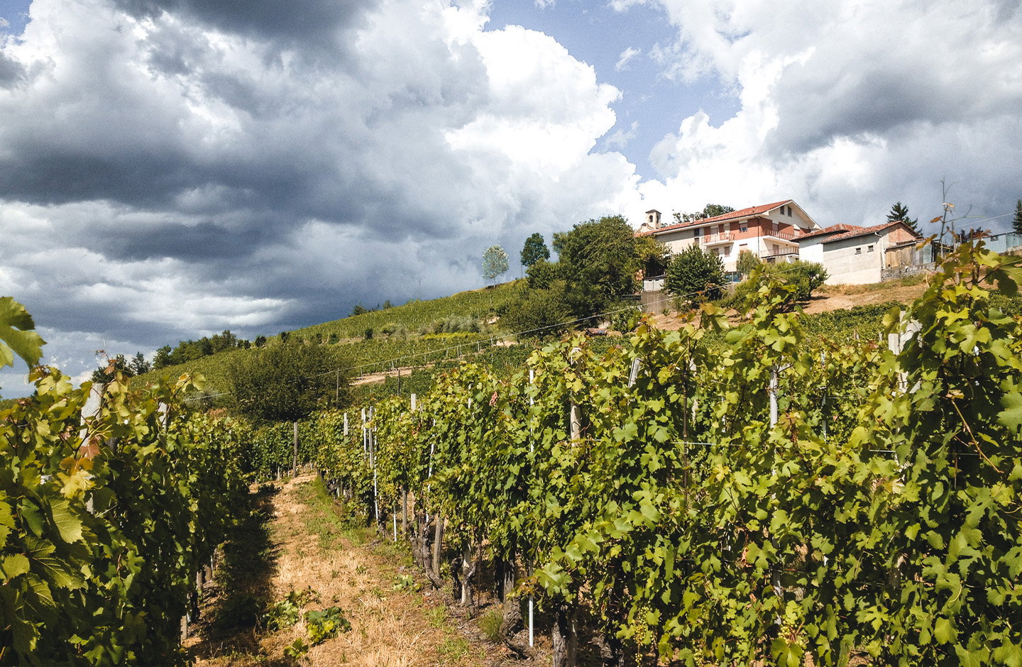 Valletti