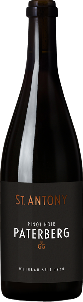 2022 Nierstein Paterberg Pinot Noir VDP.Großes Gewächs BIO
